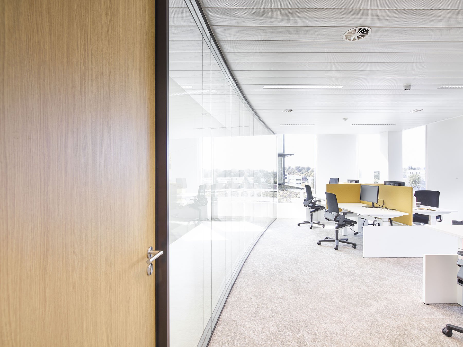 Ernst & Young Ruime lichte bureau 